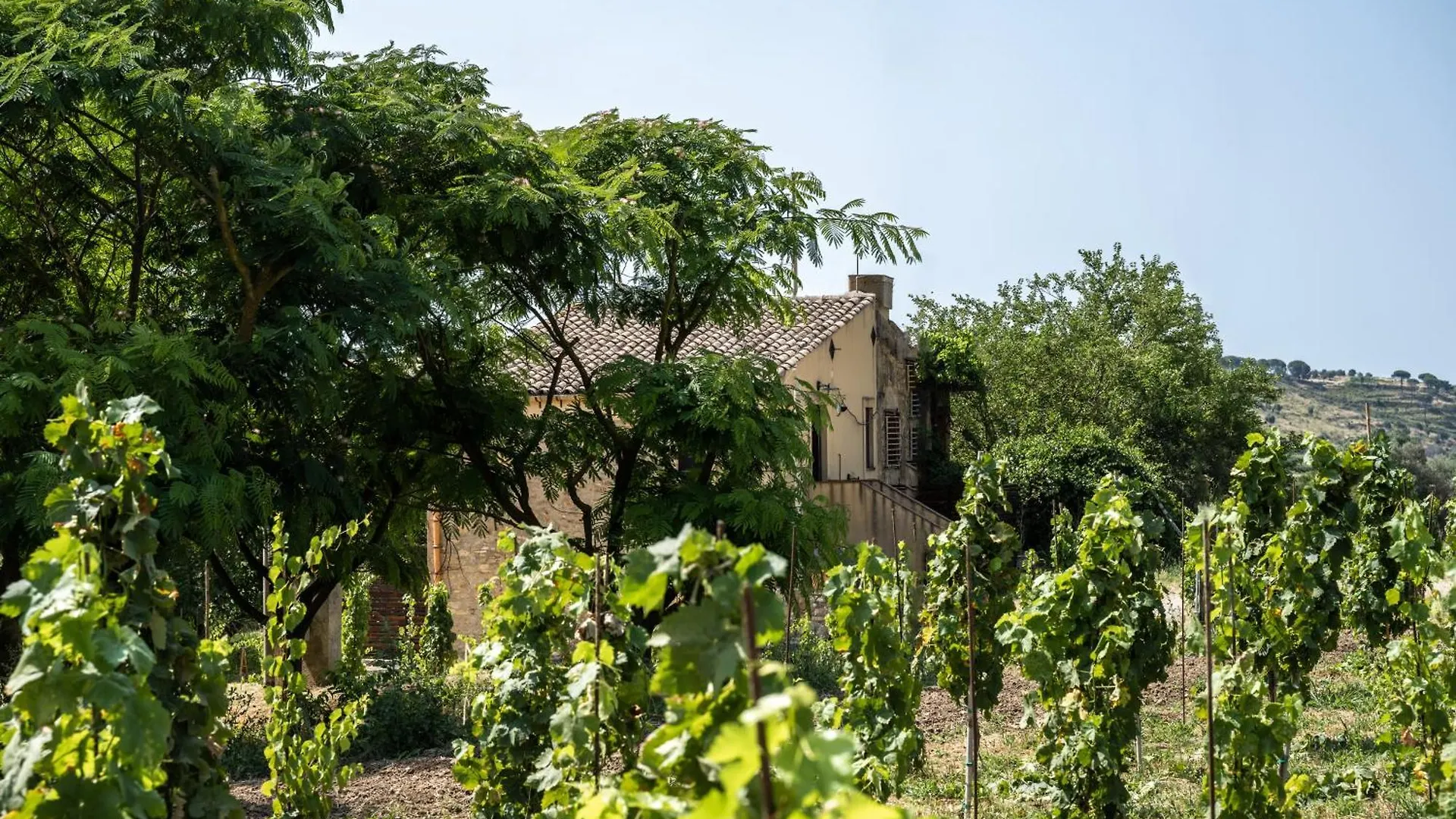 Cottage Immerso Nel Vigneto Caltagirone Holiday home