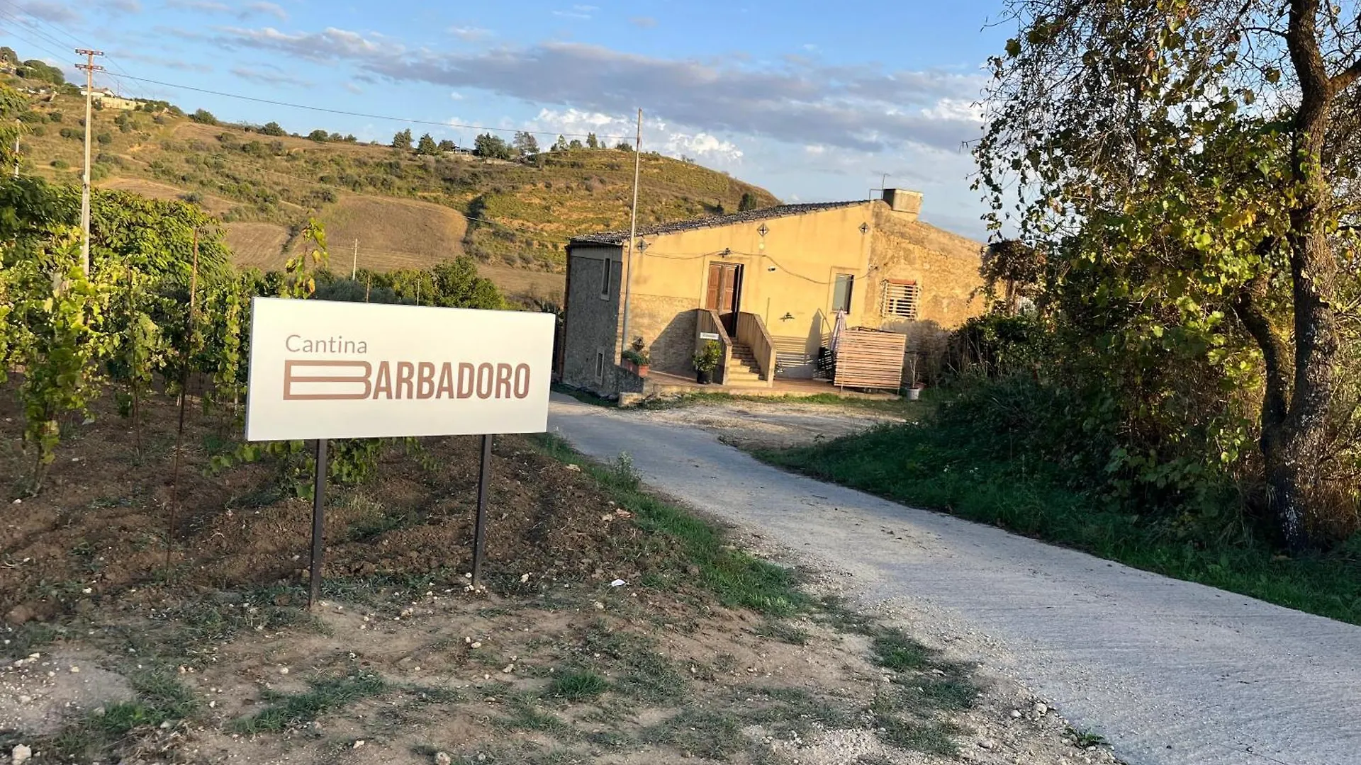 Cottage Immerso Nel Vigneto contacts